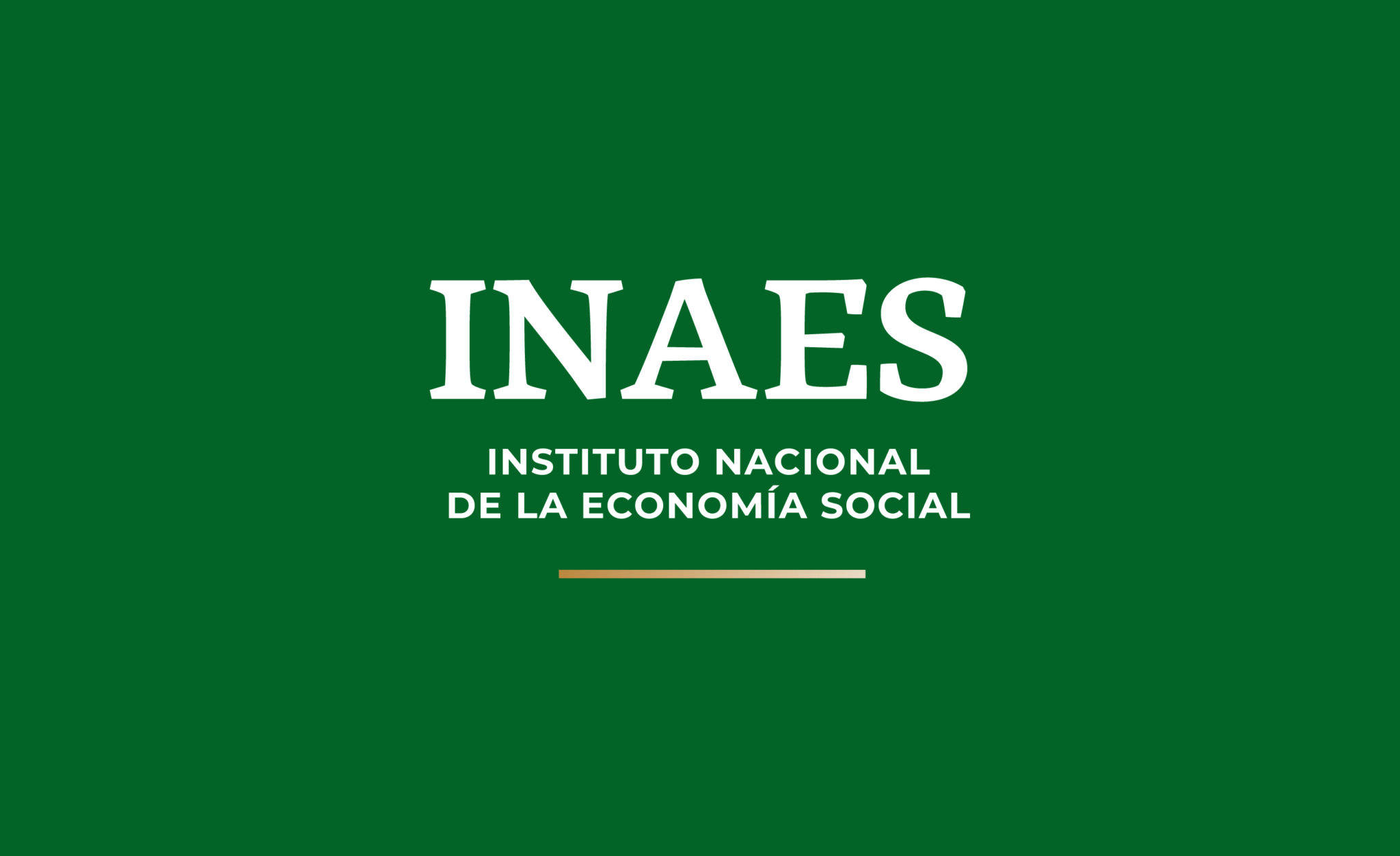 Participa en la convocatoria INAES 2019