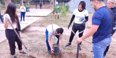 sembrar planta 1