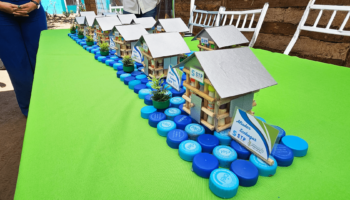 ECO HOGAR 2