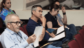 analisis de ley 12