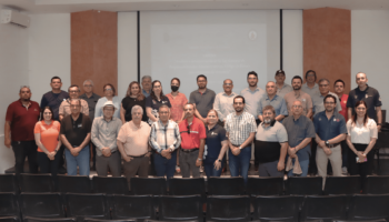 analisis de ley 6