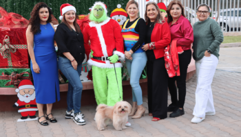 encendido de arbol de navidad 2024 6