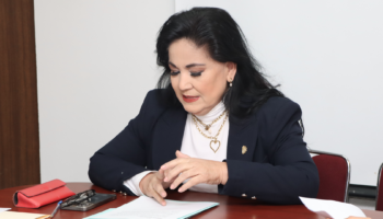 Inicio de auditoria 2025 1