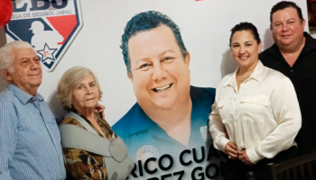 Pleca de fotografia 1