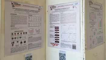 carteles 2