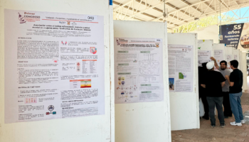 carteles 3